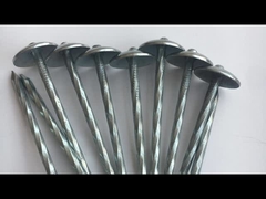 Twisted Shank Umbrella Galvanized Roof Nails with cap BWG9X2.5 clavo para techo de zinc ring shank r