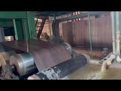 Transformando espaços, elevando marcas - A melhor opção de aço colorido