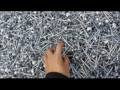 Electro Galvanized Galv Roofing Nails Outdoor In Construction