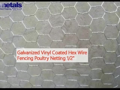 Galvanized Vinyl Coated Hex Wire Fencing Poultry Netting 1/2
