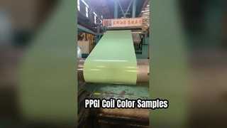 PPGI Coil Color Comparison in Factory | Real Samples Show