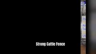 Strong Cattle Fence Wire Mesh for Secure Livestock