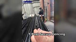 Studded T Post Secure Fencing Fast