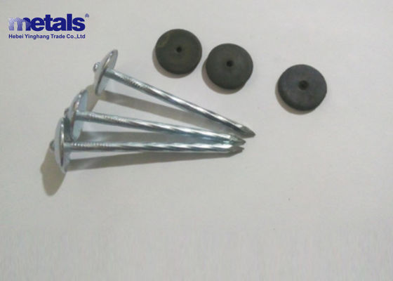 Buy Metal Electro Galvanized Nails 1.25