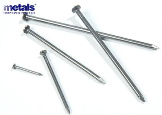 Buy Round Head Bwg9 Galvanized Framing Nails For Nail Gun Zinc Plating online manufacture