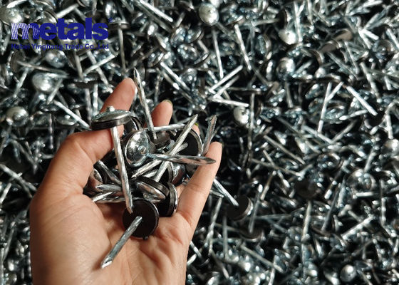 Buy Long Lasting Smooth Shank Zinc Roofing Nails Corrosion Resistant online manufacture