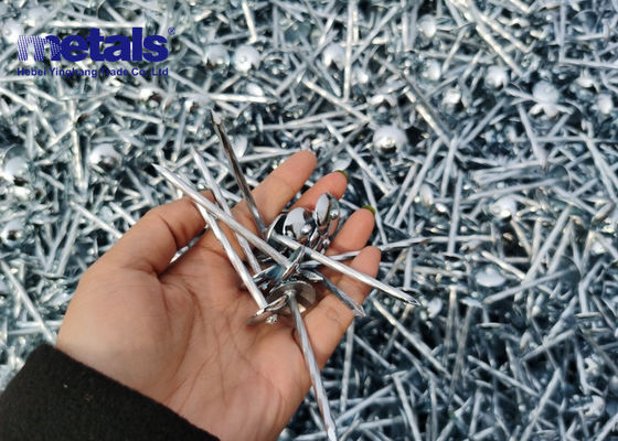 Buy Electro Galvanized Galv Roofing Nails Outdoor In Construction online manufacture