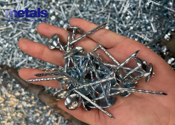 Buy High Performance 1/2 Inch Galvanized Steel Roofing Nails Long Lasting Results online manufacture