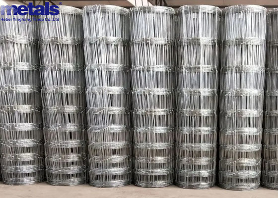 কেনা 50x50 মিমি গ্যালভানাইজড স্টিলের তারের জাল বেড়া 6 ফুট উচ্চতা 10 ফুট দৈর্ঘ্য প্যানেল online manufacture