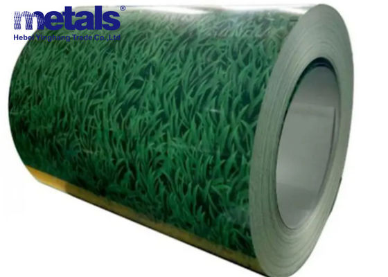 Buy Pre Painted Color Coated PPGL PPGI Steel Coils Sheet Customized online manufacture