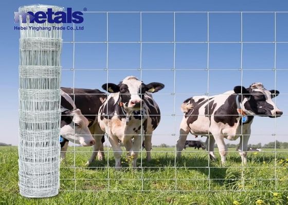 Buy Easily Assembled Hot Dipped Galvanized Garden Fence Waterproof online manufacture