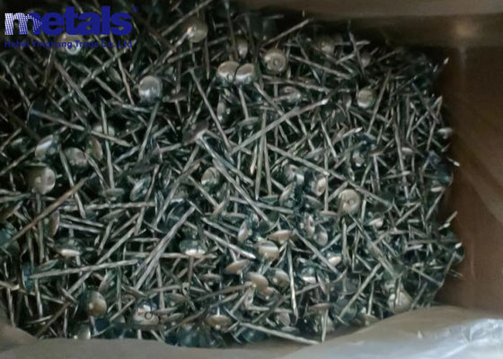 acheter Des ongles électro-galvanisés extérieurs à tête plate de 3 pouces online manufacture