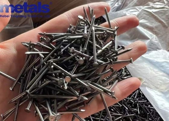 Buy Carbon Steel Stainless Steel Nail Common Wire Various Surface Finishes online manufacture
