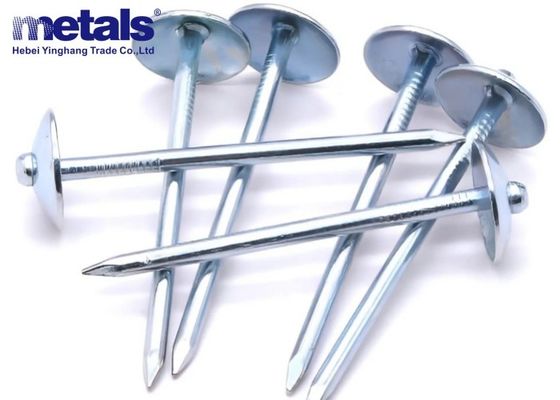 kopen BWG 9 x 3 inch paraplu Hoofd gladde staaf warm gedompelde daknagels 25 kg Bulk verpakking online manufacture