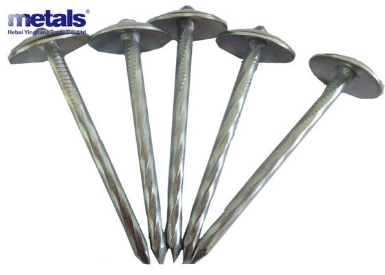 kopen Q195 / Q235 Verwrongen schakel paraplu daknagel koolstofstaal online manufacture
