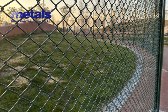 50x50 Chainlink Privacy Mesh Diamant Galvanisé Chain Link Clôture 7 pieds