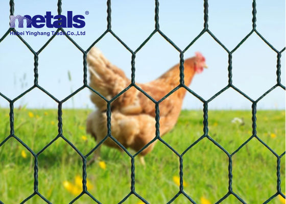 Réseau hexagonal de filet de fil de poulet recouvert de PVC vert 1 