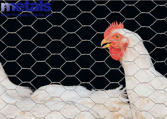 3ft By 30m Hexgonal Wire Mesh In Kenya Poultry Fencing Chicken Coop