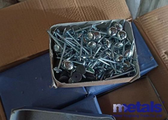 BWG9 X2,5 pouces ongles électro galvanisés tête de parapluie torsionnée 8 boîtes d'emballage